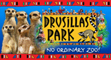 Click here to find out more about Drusillas Park